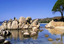 [法甲]里尔主场战胜马赛 暂时升至第三位.